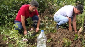 Halk Sağlığı Haftası'nda sağlıkçılardan anlamlı etkinlik